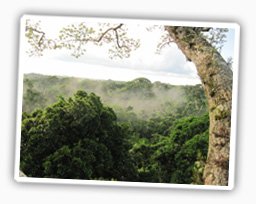 napo-wildlife-center-ecuador