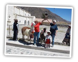 colca-reiseberichte-peru