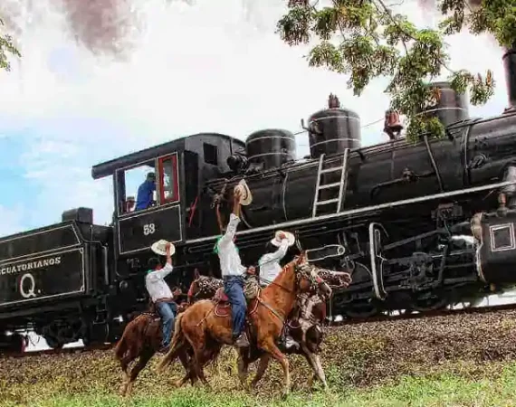 Tren Crucero Dampflock