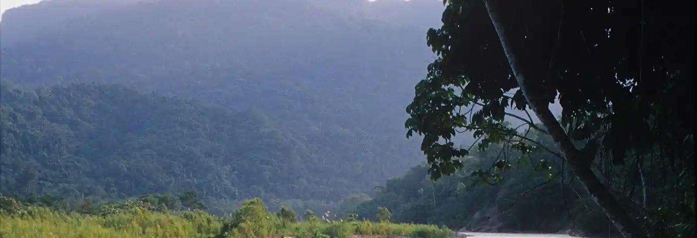 Nebelwald von Peru