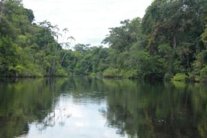 Cuyabeno Regenwald Ecuador