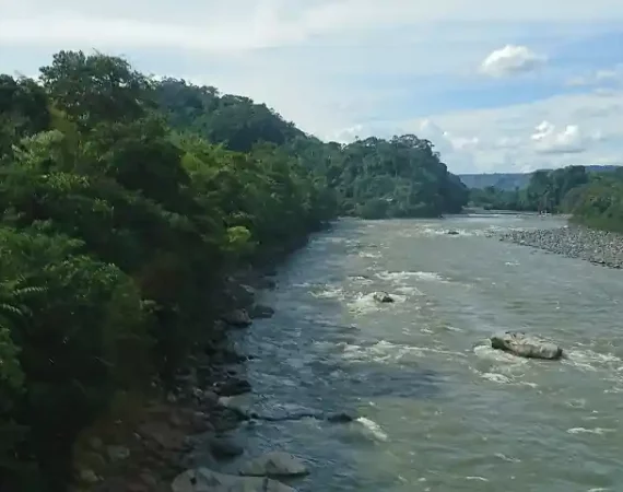 Fluss im ecuadorianischen Regenwald