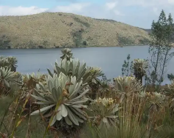 Landschaft des Naturreservats El Angel