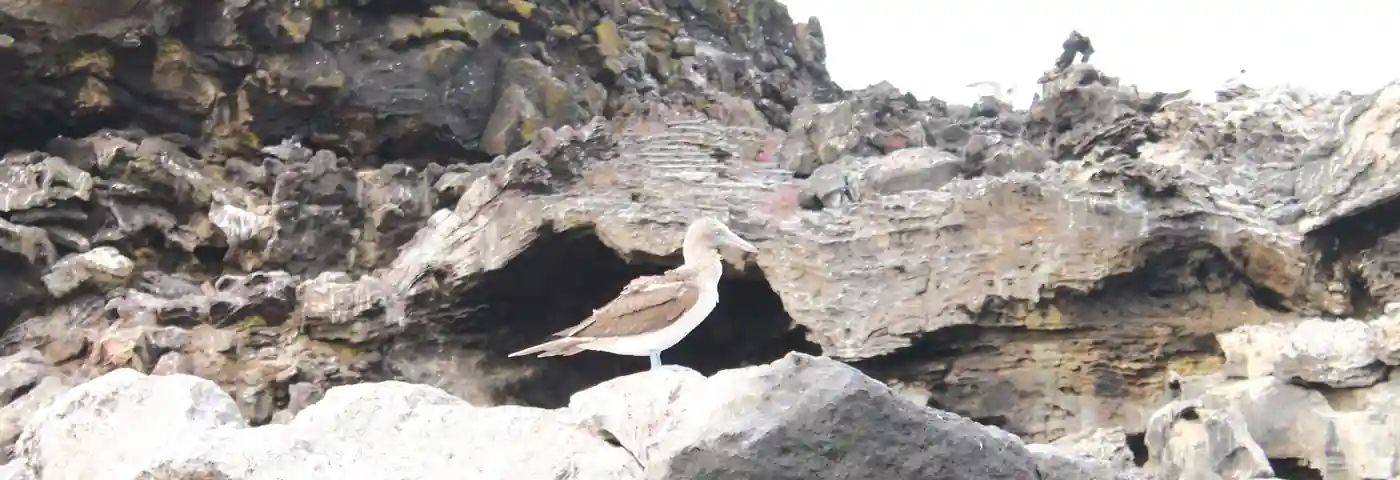 Galapagos Insel San Christobal
