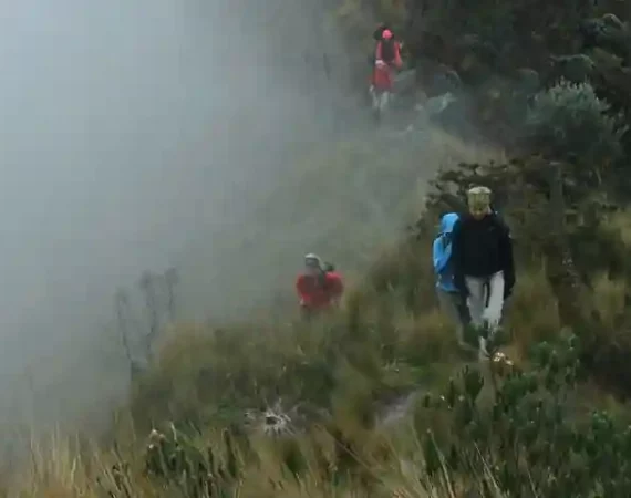 Trekkinggruppe im ecuadorianischen Paramo