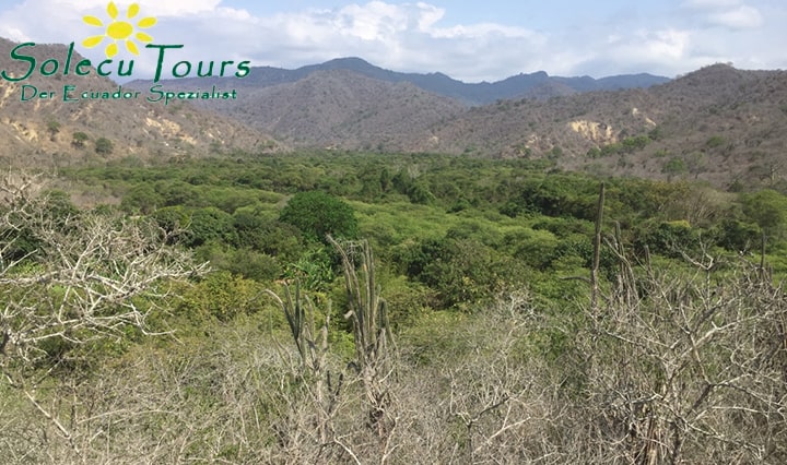Agua Blanca Mirador Machalilla National Park