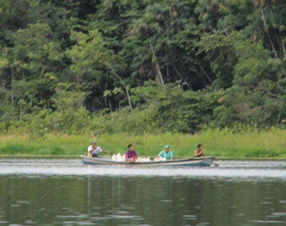 Fluss im Yasuni Nationalpark