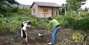 Runa Tupari Projekt