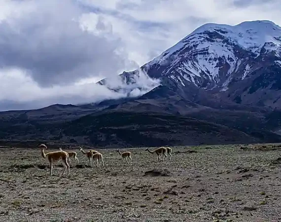 Vulkan Chimborazo in Ecuador - Bildquelle Pixabay