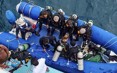 Tauchgang Galapagos Kreuzfahrt mit Aqua