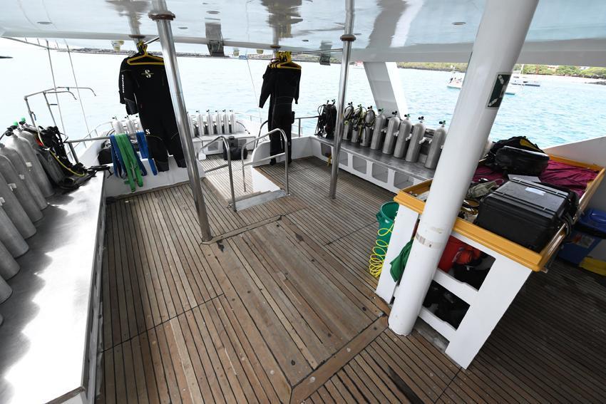 Diving Yacht Humboldt Explorer Galapagos
