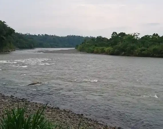 Fluss im Regenwald in Ecuador