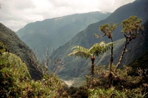 Nationalpark Rio Abiseo, Peru