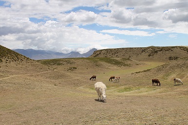 Landschaft in der Umgebung von Quito