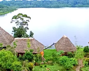 Napo Wildlife-Ausblick von oben