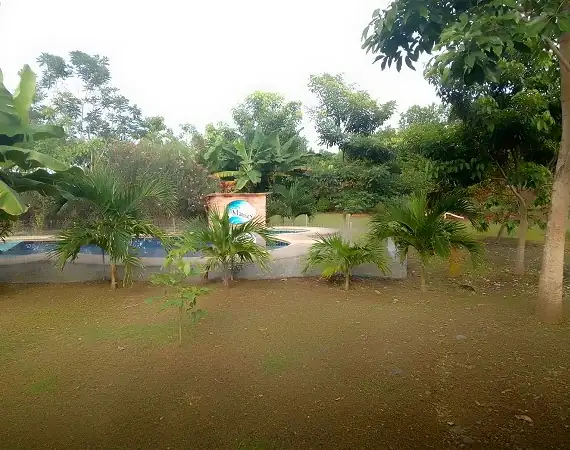 Quinta El Mamey