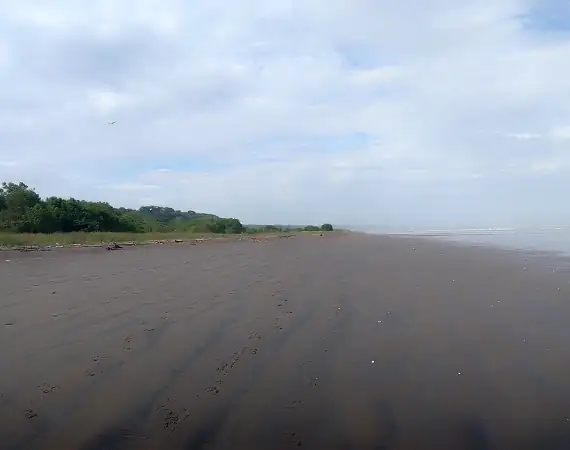 Strand bei der Quinta El Mamey im Norden von Esmeraldas