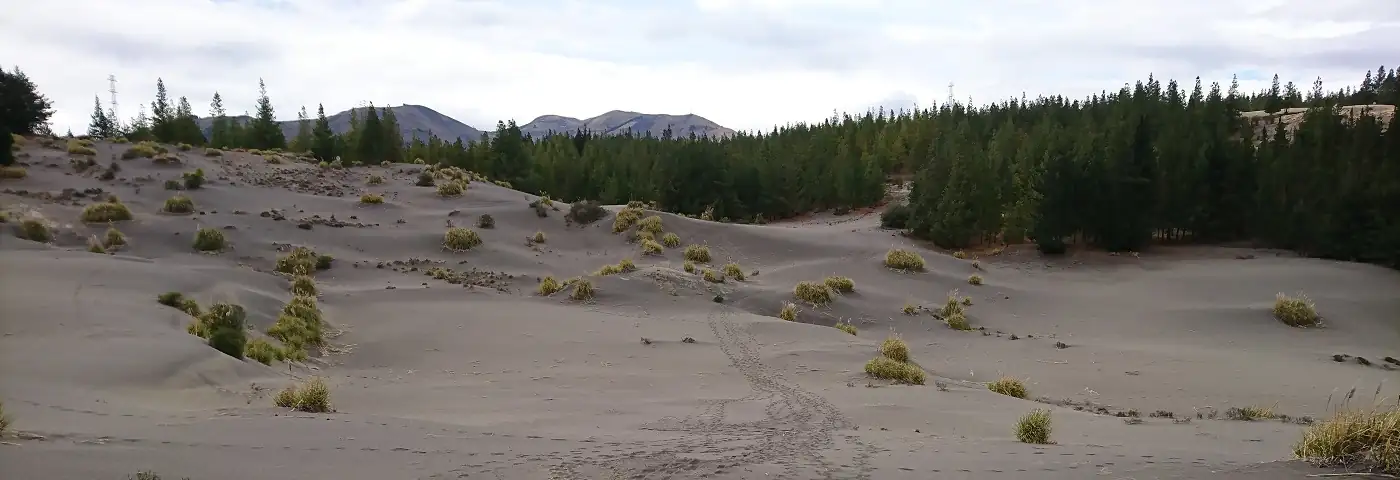 Wüste von Palmira südlich von Riobamba