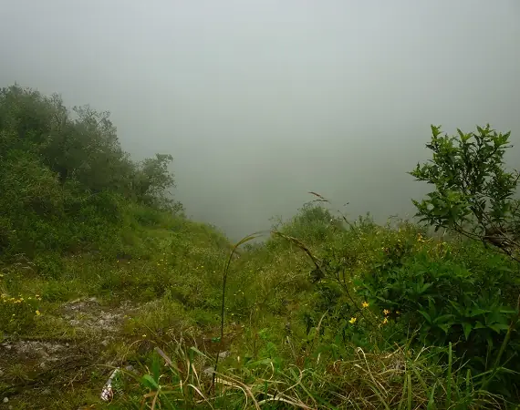 Kraterrand des Pululahua Kraters mit Nebel