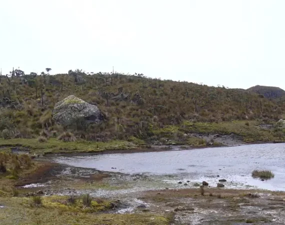 See im Cajas Nationalpark