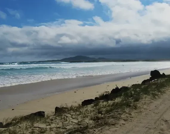 ein Strand auf den Galapagos Inseln