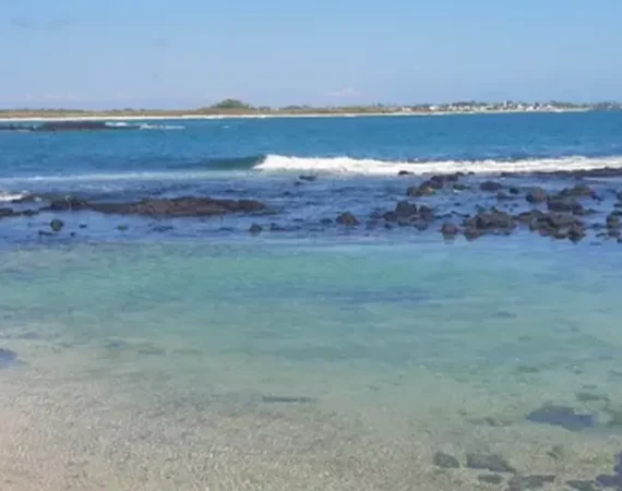 Strand der Galapagos Insel Isabela