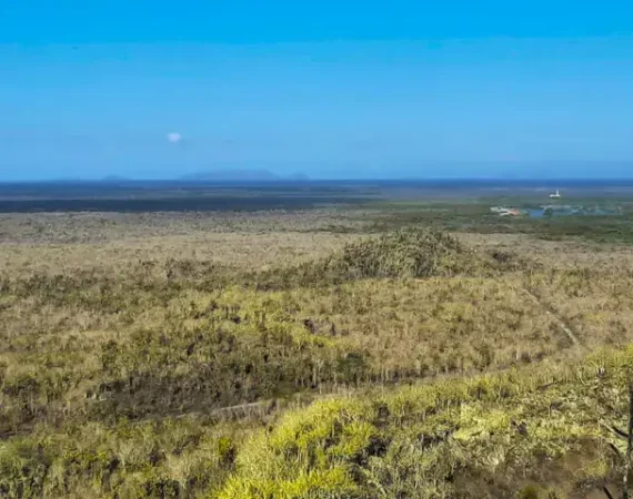 Landschaft der Insel Isabela