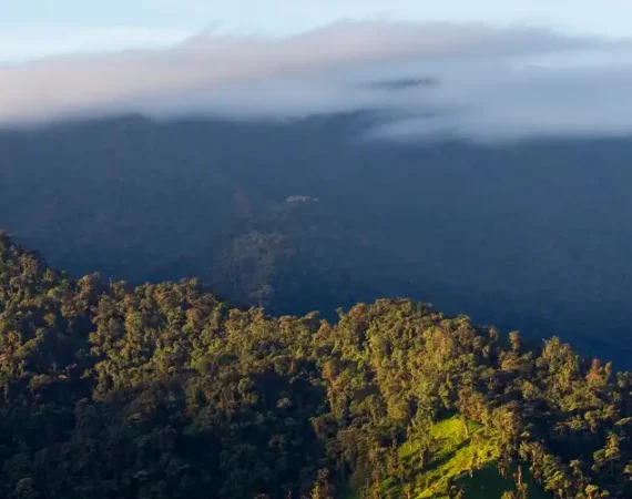 eindrucksvolle Landschaft in der Morgendämmerung