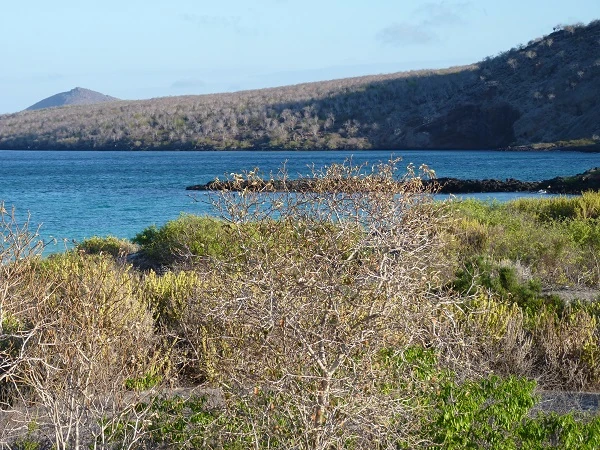Landschaft am Cormorant Point auf Floreana