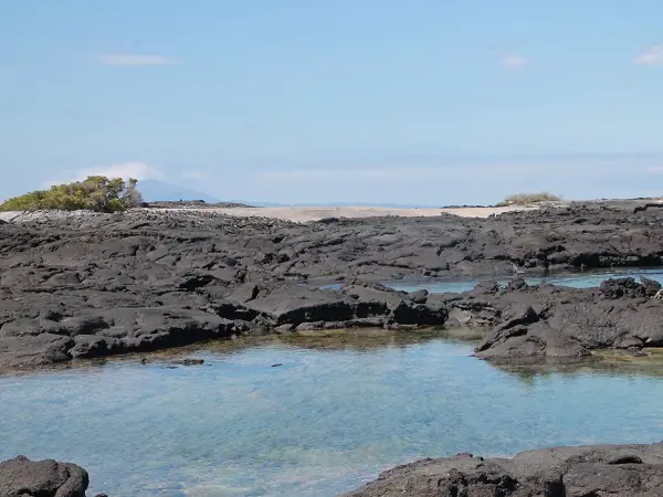 Lavafelsen am Punta Espinoza auf Fernandina