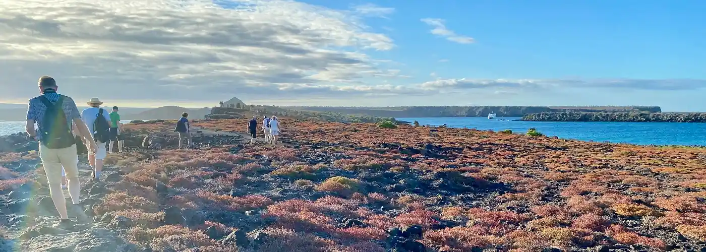 beeindruckende Landschaft der Insel South Plaza