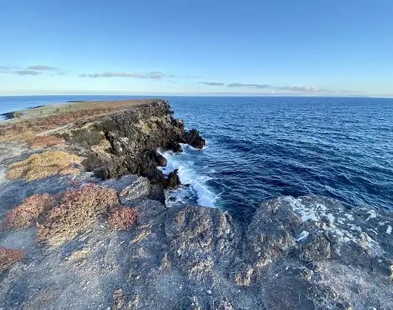 Klippen der Insel North Seymour