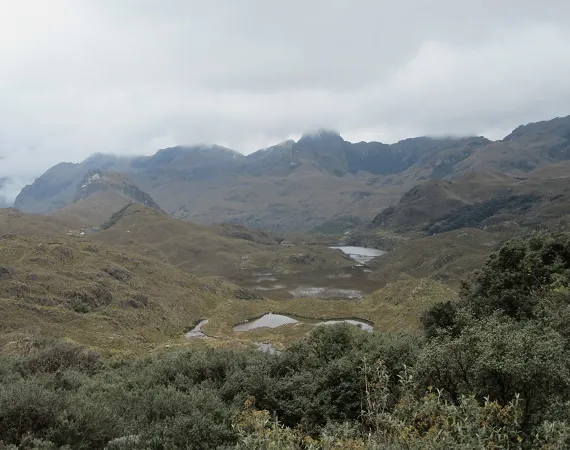 typischer Blick in die Landschaft des Cajas National Parks