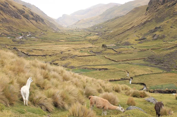 Angamarca trek5