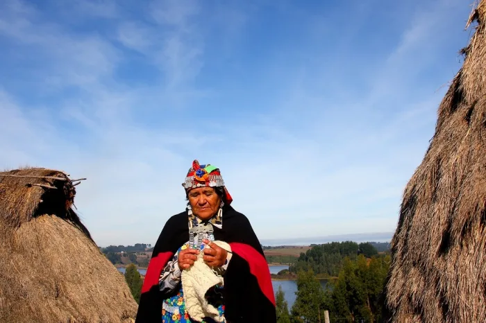 Araucania Mapuche