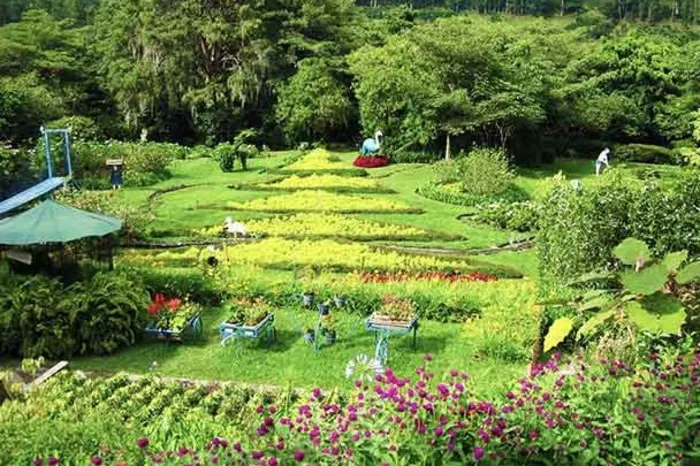 Boquete Landschaft