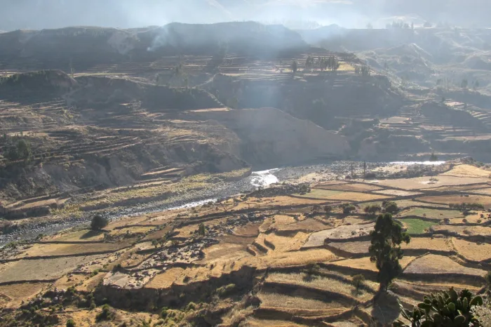 Colca Canyon