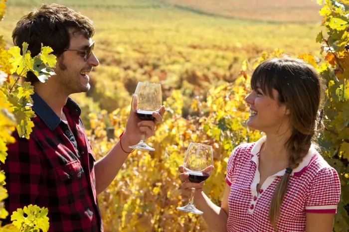 Colchagua Tal
