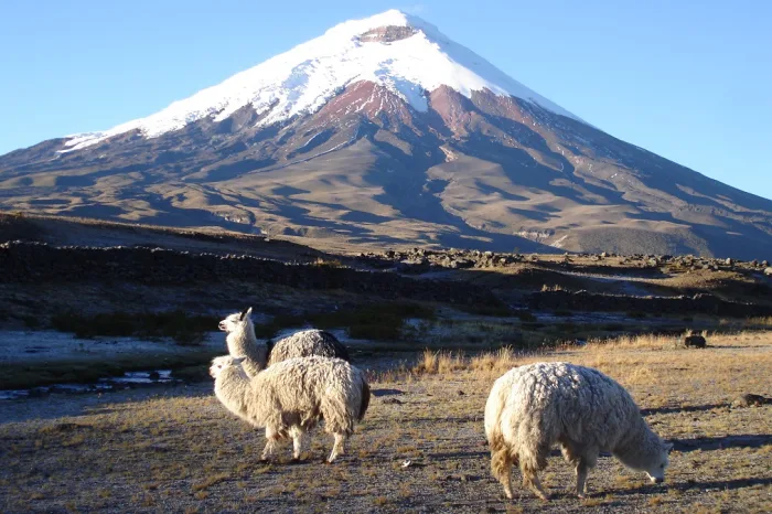 Cotopaxi Ecuador