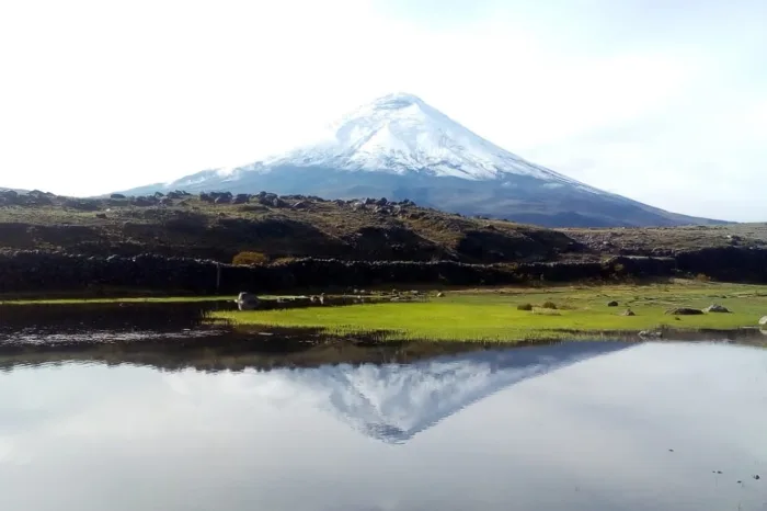 Cotopaxi Lagune