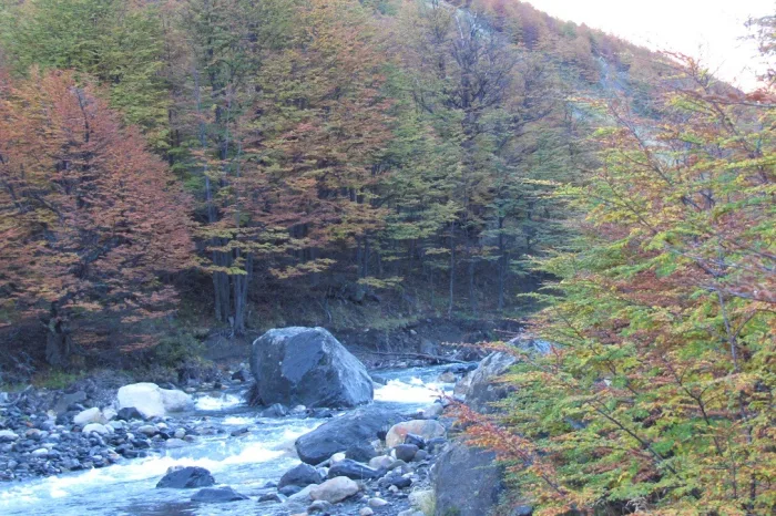 Fluss Paine
