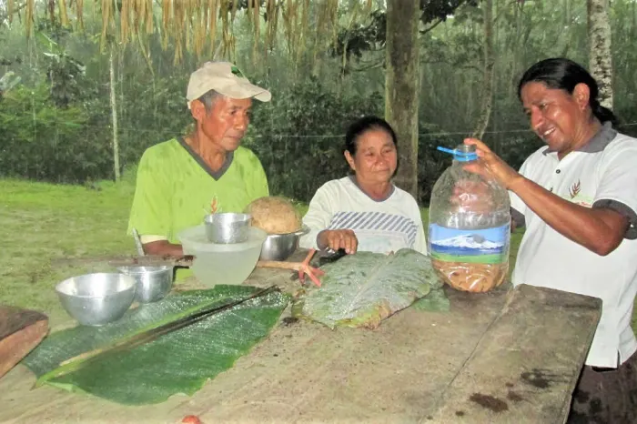 Indigene Kultur Regenwald