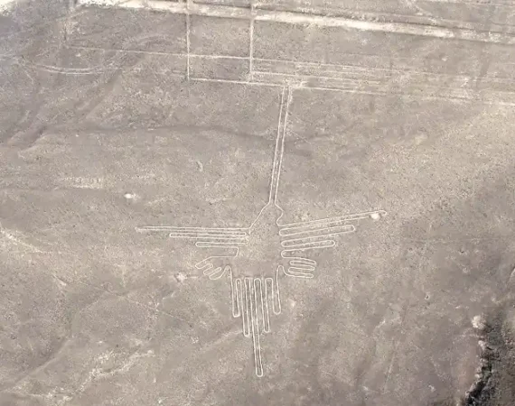 eine interessante Figur der Nazca Linien ist der Kolibri