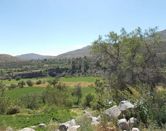 Landschaft in der Umgebung von Arequipa