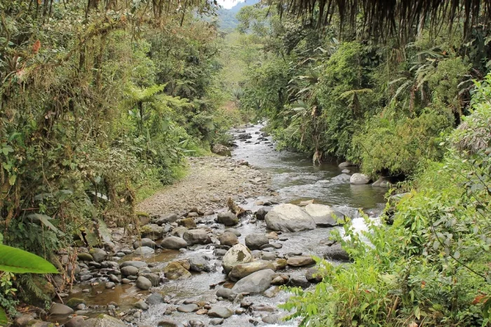 Maquipucuna fluss
