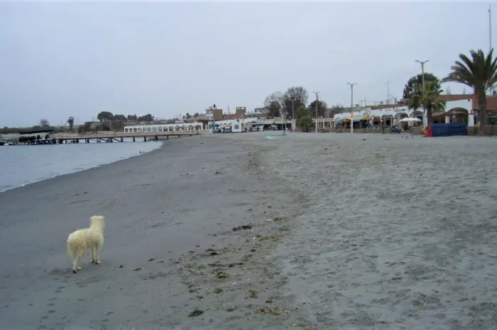 Paracas Strand