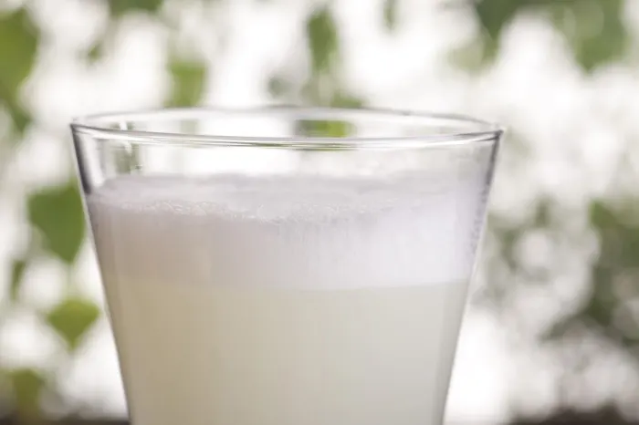 Pisco Sour Peru