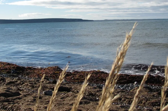 Punta Arenas Meer