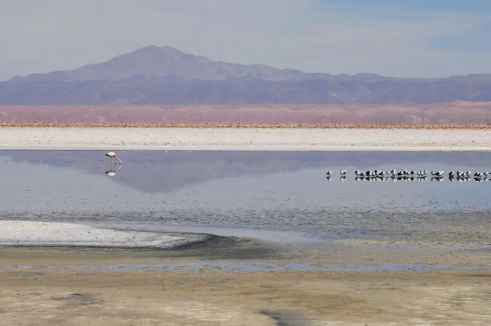 Salar Atacama