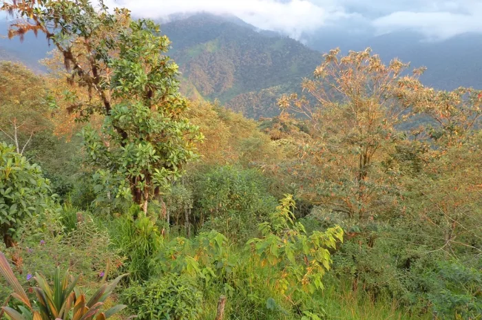 Santa Lucia Landschaft